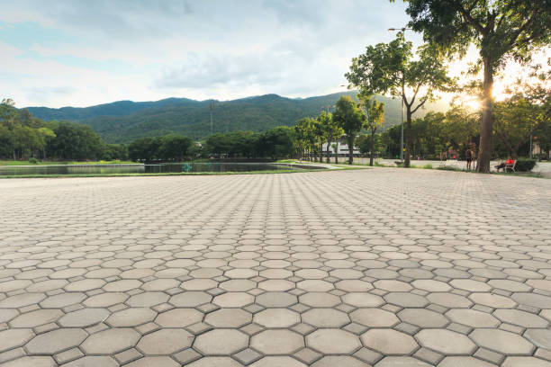 Best Driveway Paving Contractor  in Lakewood Ranch, FL
